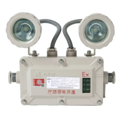 ESL102 Series Explosion-proof Emergency Lightings