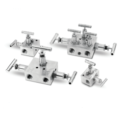 SM2V/SM3V/SM5V Series
