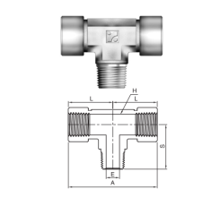 IBT Series