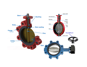VAN BƯỚM - BUTTERFLY VALVE