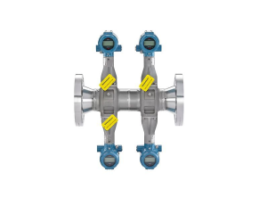 FLOW METER CHO MÔI TRƯỜNG DỄ CHÁY NỔ (ATEX)