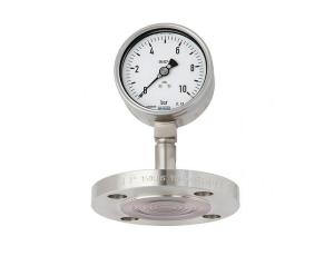 ĐỒNG HỒ ÁP SUẤT MÀNG CHO NGHÀNH HÓA CHẤT