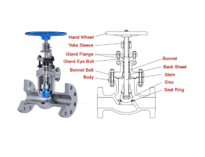 VAN CẦU (GLOBE VALVE)