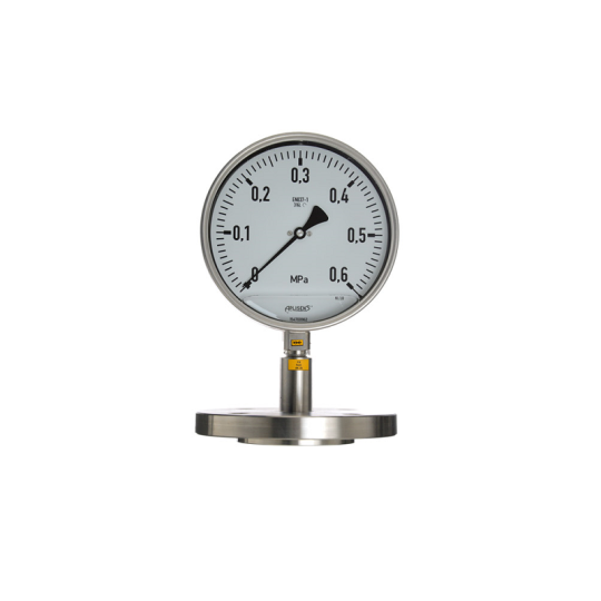 ĐỒNG HỒ ÁP SUẤT DẠNG MÀNG APLISENS MODEL MS-100