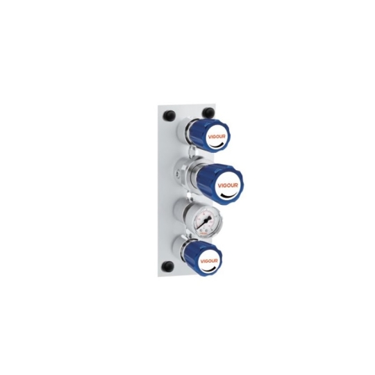 Gas Terminal VSR-2TG Series