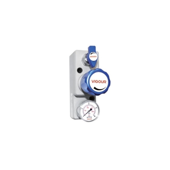 Gas Terminal VSR-5T Series